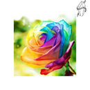 Broderie diamant Rose Arc-en-ciel | Diamond-painting-club.com