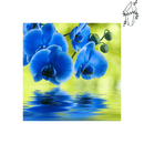Broderie diamant Orchidée Bleue | 💎 Diamond Painting Club