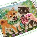 Broderie diamant Shiba Inu mignon | Diamond-painting-club.com