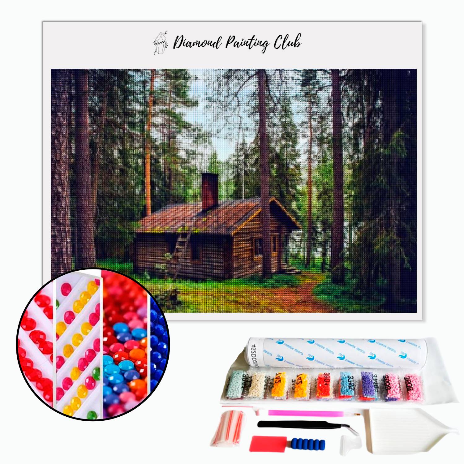 Diamond Painting - Forêt Animaux - RIOLIS - 30-60 Cm - Loisir Créatif