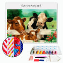 Broderie diamant Vaches et Veau | 💎 Diamond Painting Club