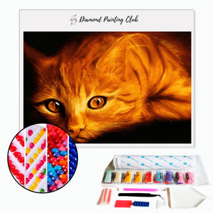 Broderie diamant Chat roux | 💎 Diamond Painting Club
