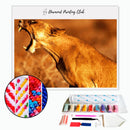 Broderie diamant Lionne rugissante | 💎 Diamond Painting Club