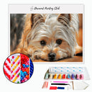 Broderie diamant Yorkshire calme | 💎 Diamond Painting Club