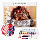 Broderie diamant Yorkshire mignon | 💎 Diamond Painting Club