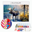 Broderie diamant Élan & rivière | 💎 Diamond Painting Club