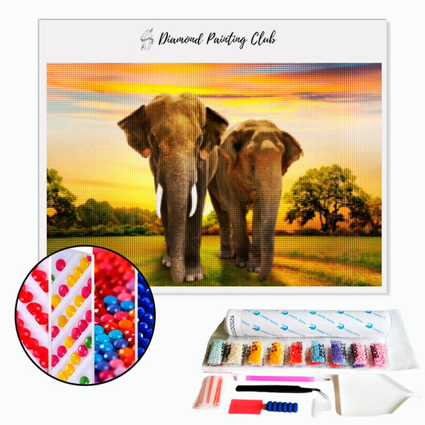 Broderie diamant Couple d'éléphant  | 💎 Diamond Painting Club