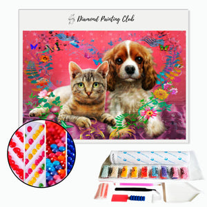 Broderie diamant Chat & King charles | Diamond-painting-club.com