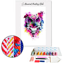 Broderie diamant Hibou abstrait peinture  | 💎 Diamond Painting Club