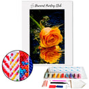 Broderie diamant Rose orangé | 💎 Diamond Painting Club