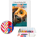 Broderie diamant Hibou Coucou Diamond Painting Club