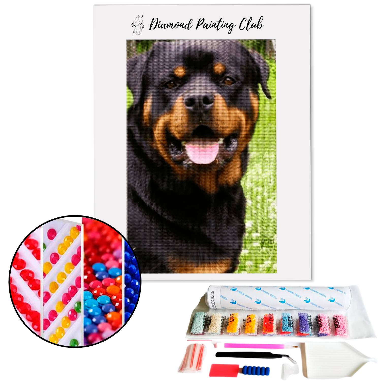 Broderie diamant Rottweiler | Diamond Painting Club