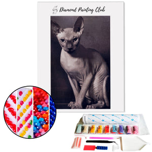 Broderie diamant Chat Sphinx | 💎 Diamond Painting Club