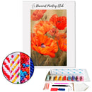Broderie diamant Coquelicot | 💎 Diamond Painting Club