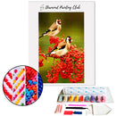 Broderie diamant Chardonneret élégant  | 💎 Diamond Painting Club