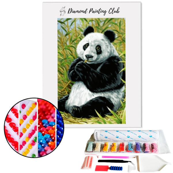 Broderie diamant Panda Simple  | 💎 Diamond Painting Club