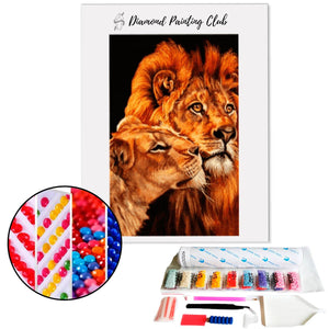 Broderie diamant Lion & Lionne  | 💎 Diamond Painting Club