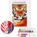 Broderie diamant Tigre du Bengale | 💎 Diamond Painting Club