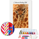 Broderie diamant Girafon | Diamond-painting-club.com