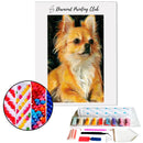 Broderie diamant Chihuahua poil long | 💎 Diamond Painting Club