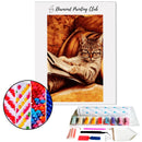 Broderie diamant Chat & Journal | 💎 Diamond Painting Club