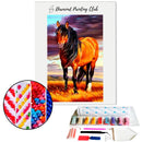 Broderie diamant Cheval sauvage | Diamond-painting-club.com