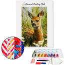 Broderie diamant Daim | 💎 Diamond Painting Club